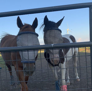 Meet your Posher, Kendall